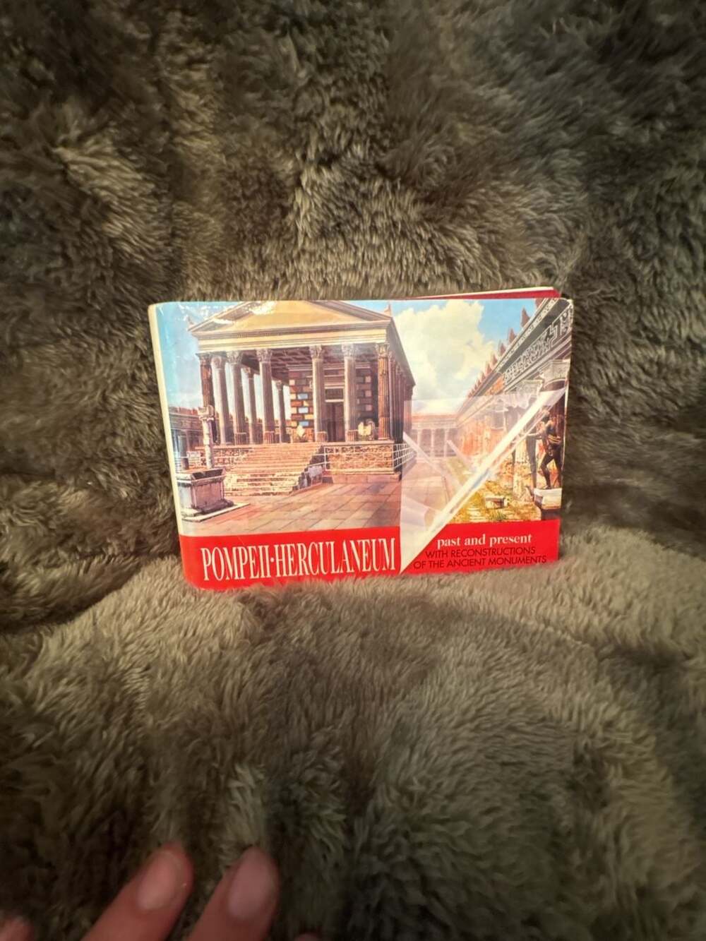 Vision Publications Pompeii-Herculaneum Past And Present Book